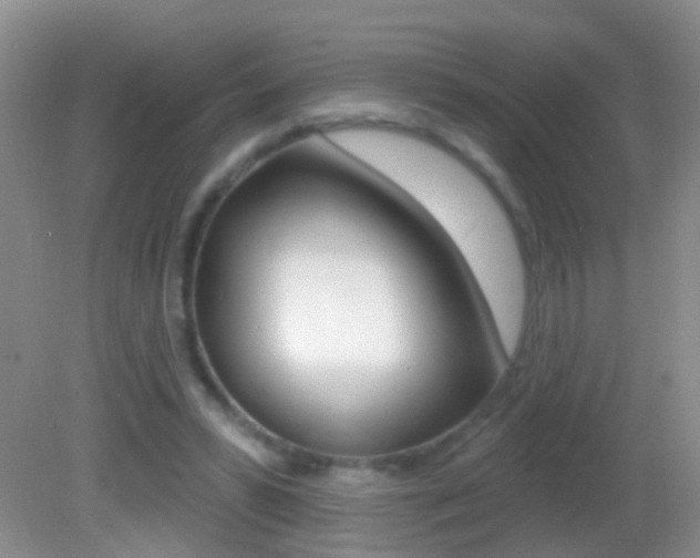 X0000082760399200701261131