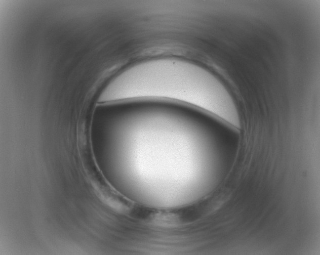 X0000082760403200701261131