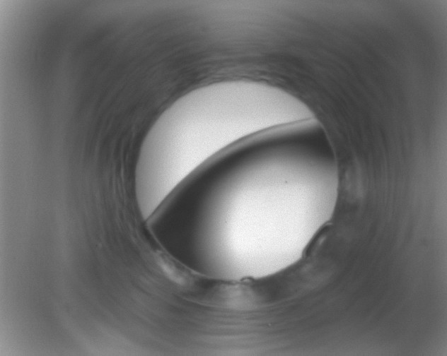 X0000082760424200701261130