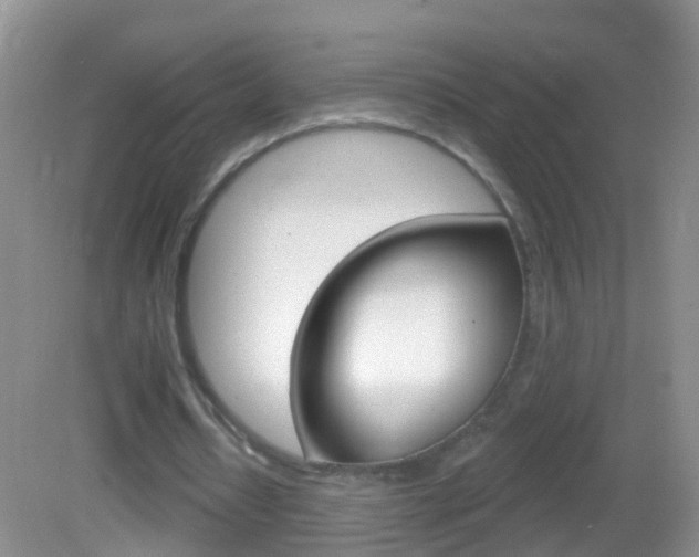 X0000082760434200701261129