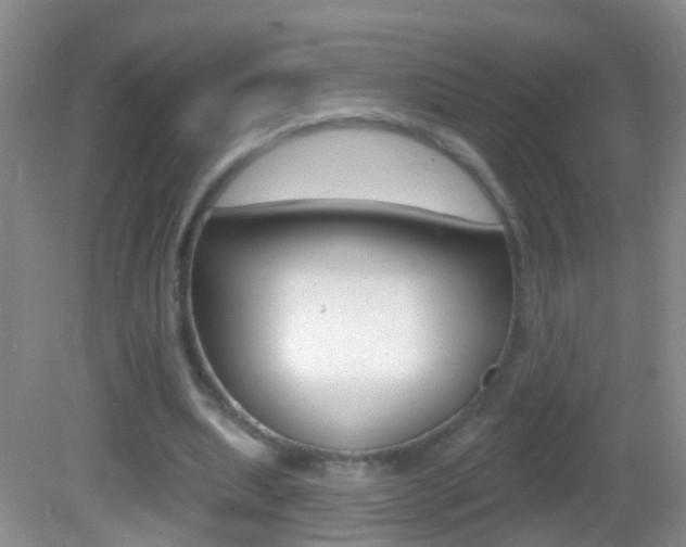 X0000082760439200701261129
