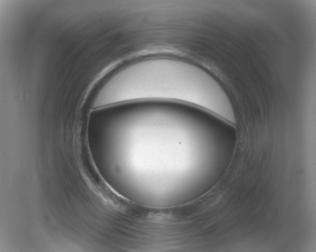 X0000082760440200701261129