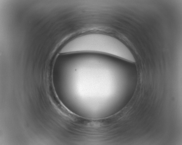 X0000082760444200701261129