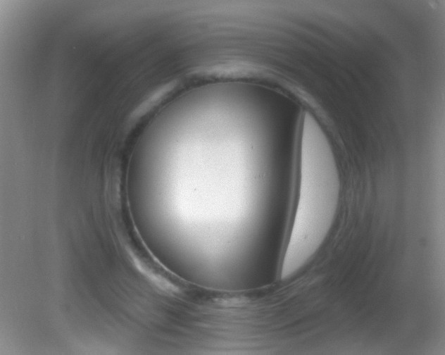 X0000082760446200701261129