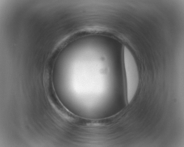 X0000082760448200701261129
