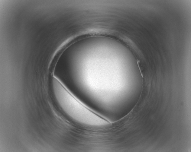 X0000082760488200701261129