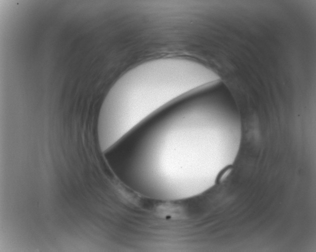 X0000082760515200701261129