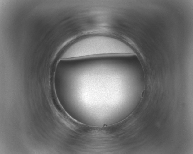 X0000082760535200701261128