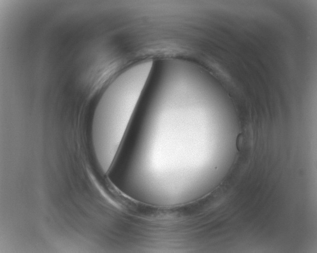 X0000082760638200701261126