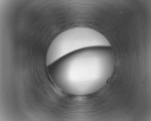 X0000082760664200701261127