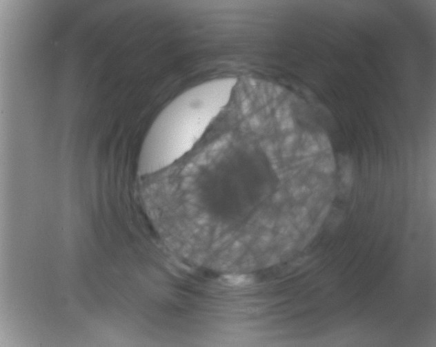 X0000082760667200701261127