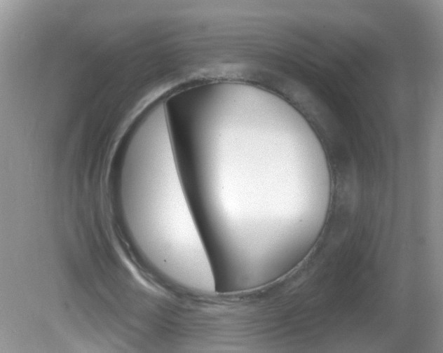 X0000082760674200701261126