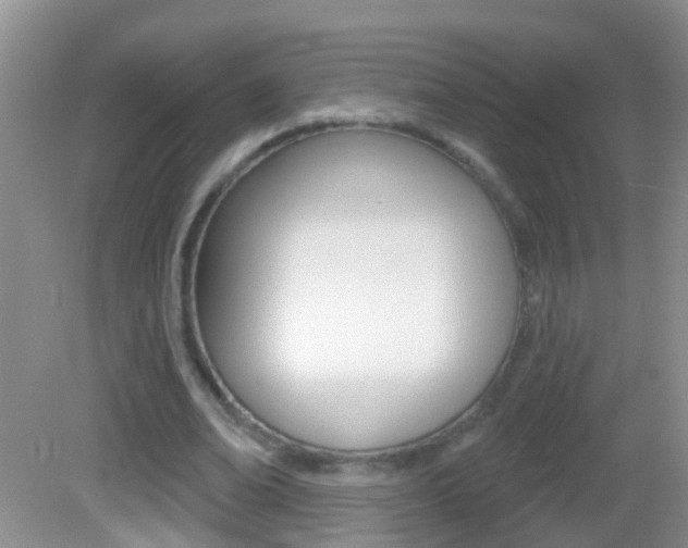 X0000082760678200701261126