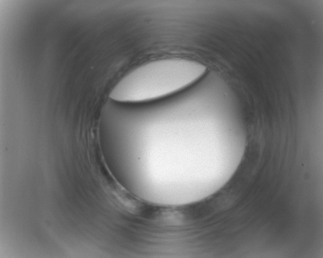 X0000082760702200701261125