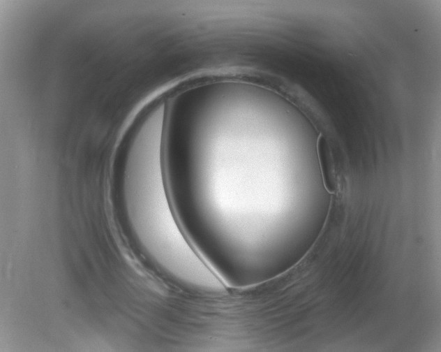 X0000082760724200701261124