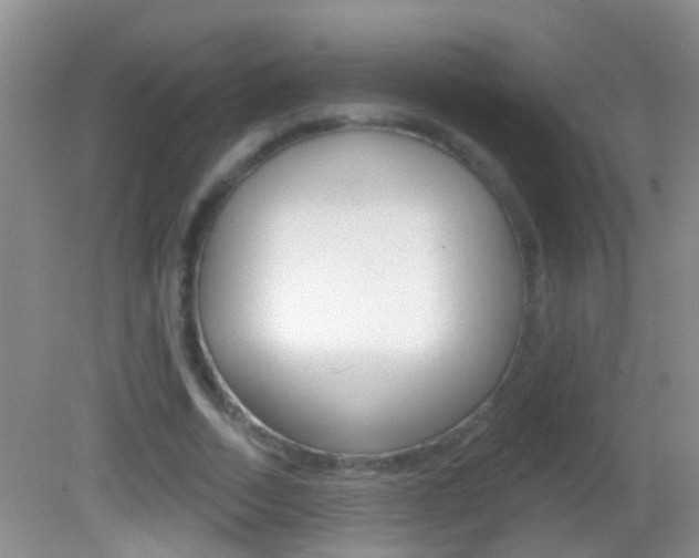 X0000082760730200701261125