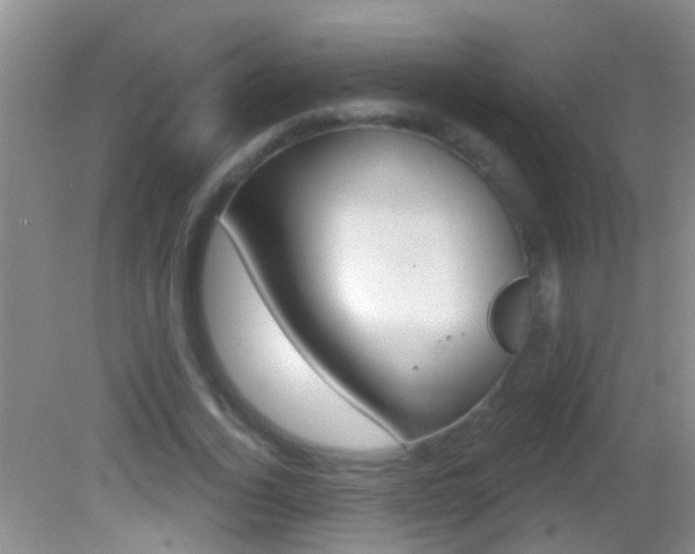 X0000082760732200701261125