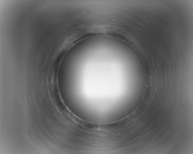 X0000082760739200701261125