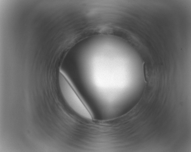 X0000082760748200701261125