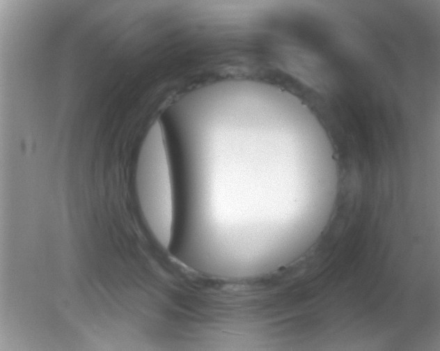 X0000082760749200701261125