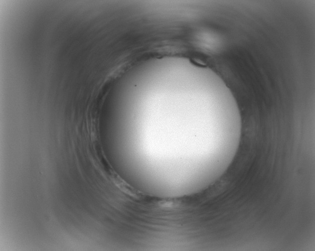 X0000082760755200701261125