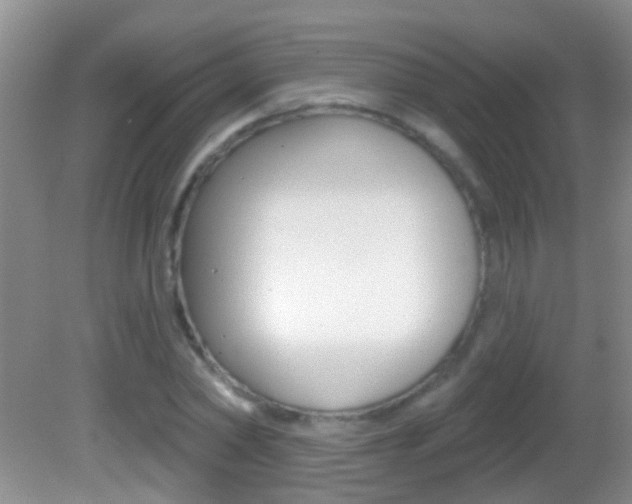 X0000082760782200701261124
