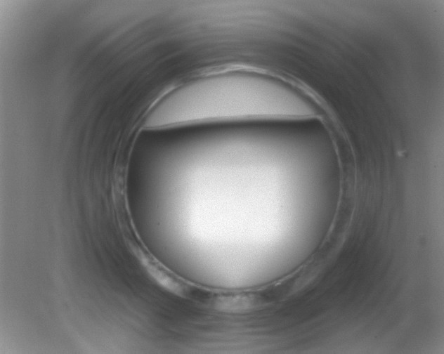 X0000082760793200701261124