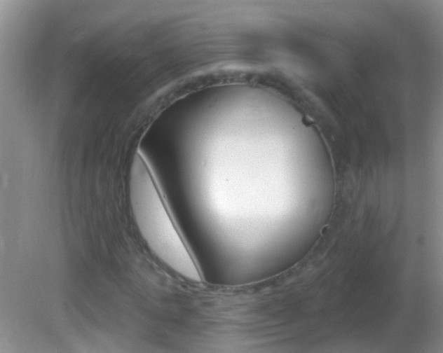 X0000082760821200701261123