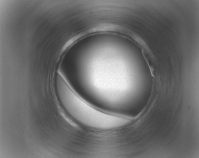 X0000082760842200701261123