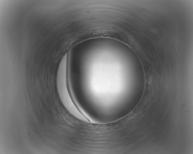 X0000082760868200701261123