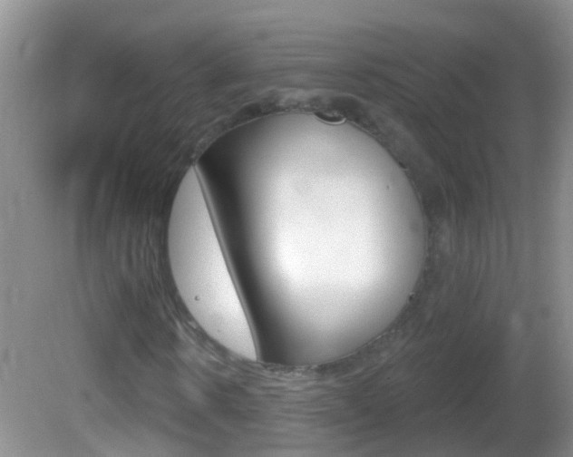 X0000082760914200701261121