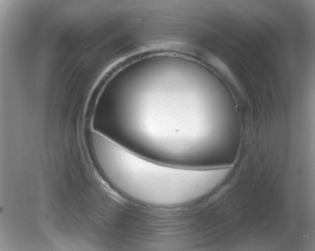 X0000082760924200701261121