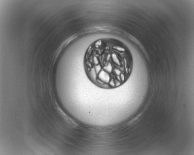 X0000082760930200701261121