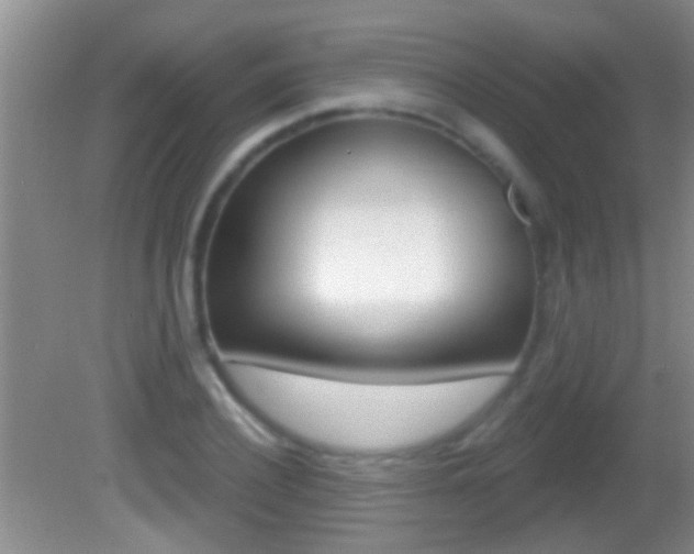 X0000082760932200701261121