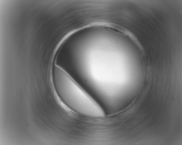 X0000082760955200701261122