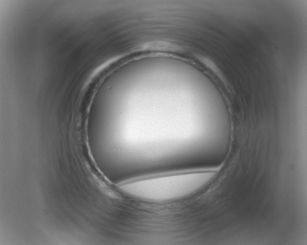 X0000082760971200701261121