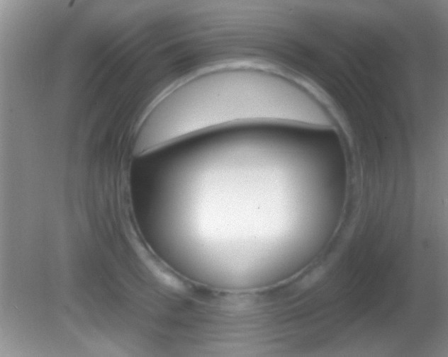 X0000082760993200701261121