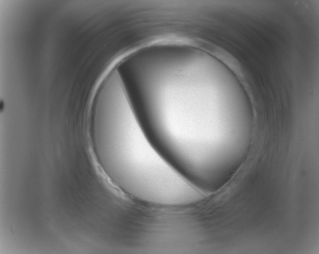 X0000082761008200701261120