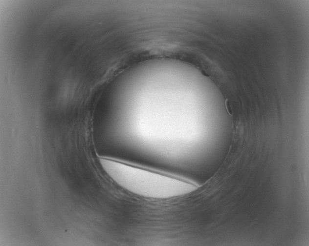 X0000082761012200701261120