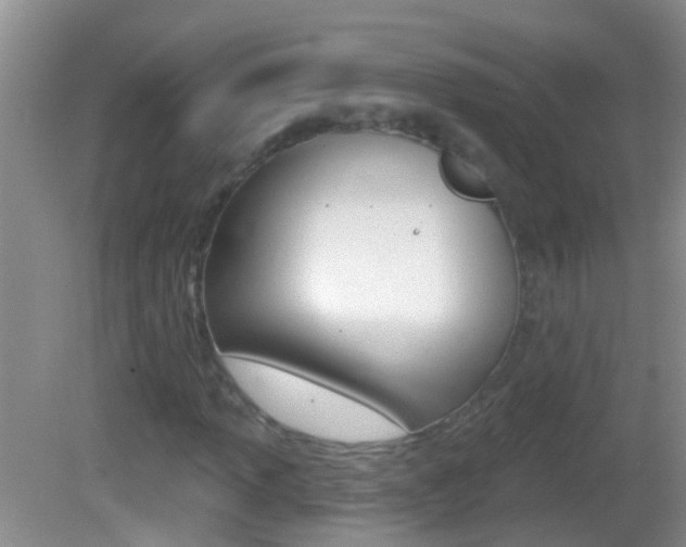 X0000082761013200701261120