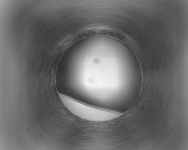 X0000082761014200701261120