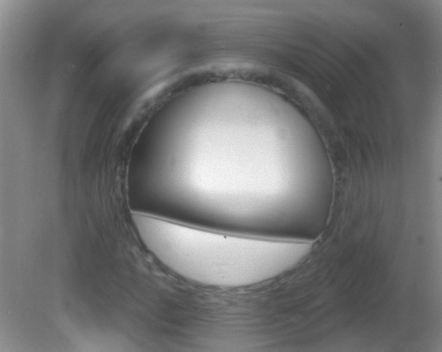 X0000082761016200701261120