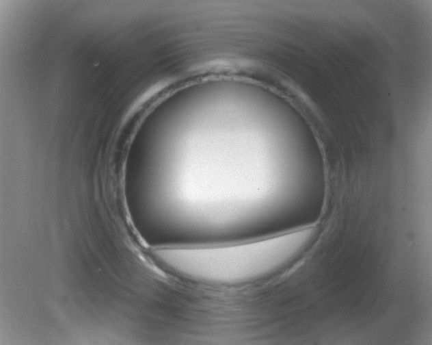 X0000082761018200701261120
