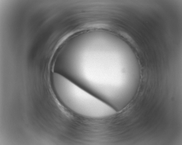 X0000082761031200701261120