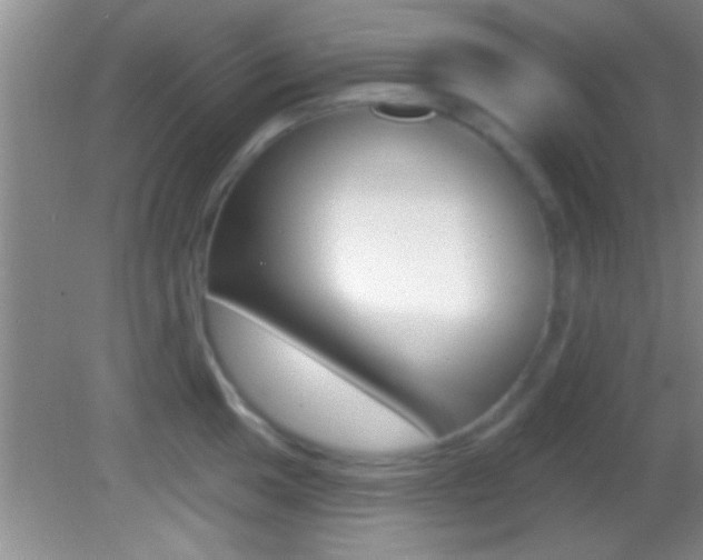 X0000082761049200701261120