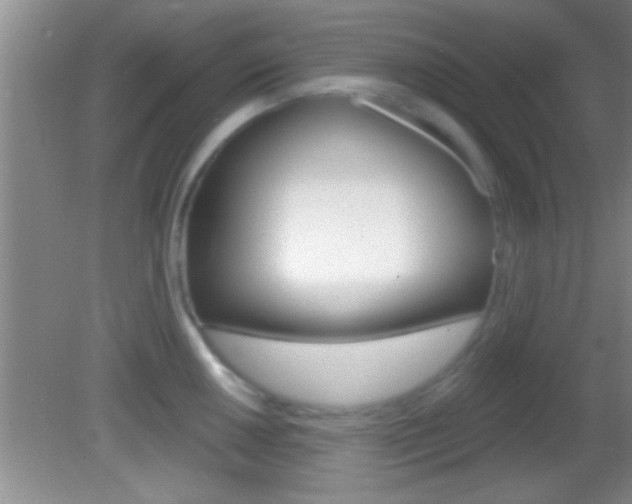 X0000082761050200701261120