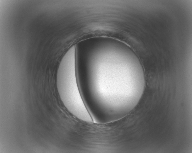 X0000082761061200701261119