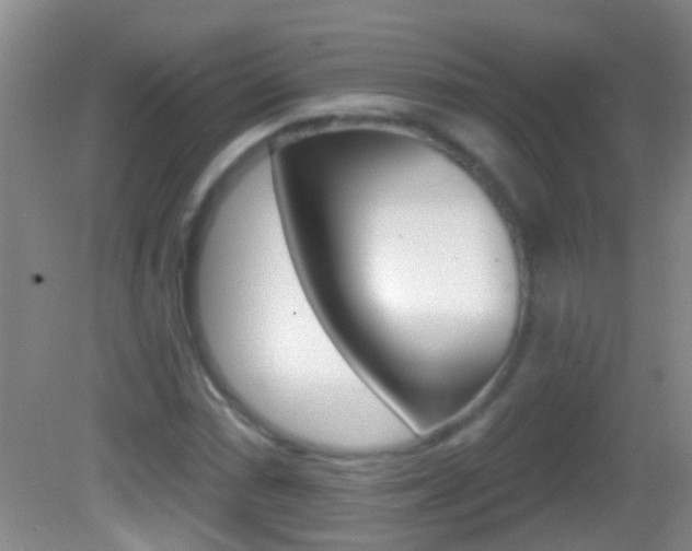 X0000082761066200701261119