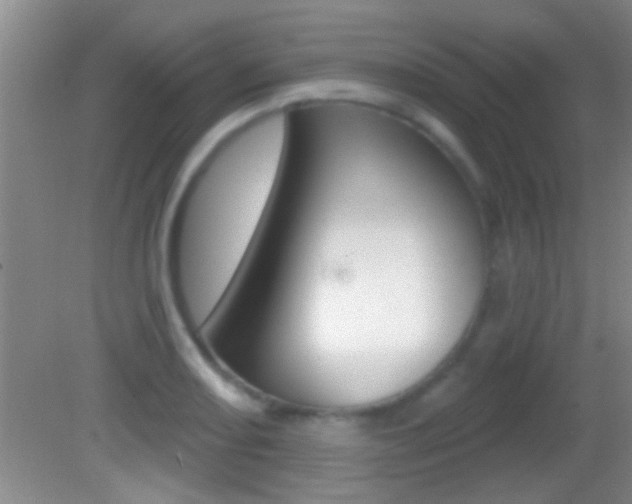 X0000082761082200701261119