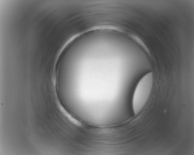 X0000082761084200701261119